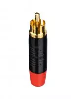Разъем на кабель RCA "папа", Rean, RF2C-B-2