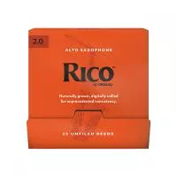 RJA0120-B25 Rico Трости для саксофона альт, размер 2.0, 25шт в индивидуальной упаковке, Rico