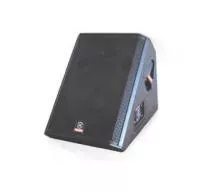 NWX-115M Монитор пассивный, двухполосный, Leem