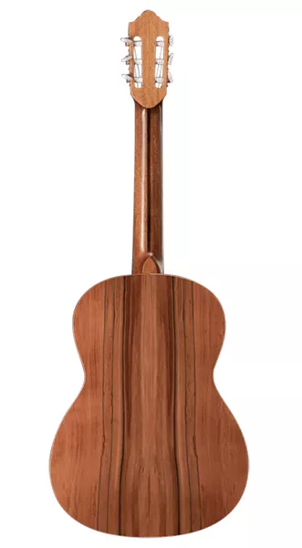 C770-4/4 Классическая гитара, Strunal