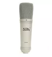 EC010W Микрофон студийный, конденсаторный, Soundking