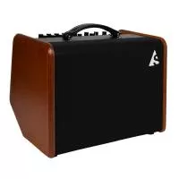 Acoustic Solutions ASG-8 Wood Комбоусилитель для акустической гитары, 120Вт, Godin, 050154