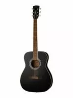 Акустическая гитара с чехлом, Parkwood, PF51-WBAG-BKS