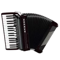 A4362 AMICA III 72 SW/BSTU Аккордеон