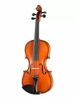 Professional Gama Unique Ash Скрипка 4/4, Gliga, PU-V044-OH