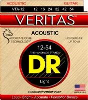 VTA-12 VERITAS Комплект струн для акустической гитары, 12-54, DR