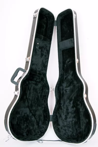 ALPG Кейс пластиковый для электрогитары LP Lutner