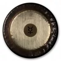 0223381332 PG81332 Planet Gong C