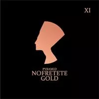 Nofretete Комплект струн для электрогитары, никелированные, 11-48, Pyramid, NOF11