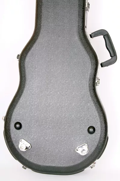 ALPG Кейс пластиковый для электрогитары LP Lutner