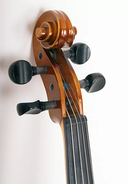 405-4/4 Скрипка, Strunal