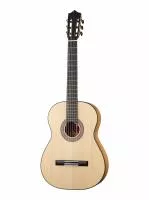 Flamenco Series Классическая гитара, Martinez, MFG-AS