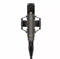 MKH 800 TWIN NX Микрофон конденсаторный, студийный, серый, Sennheiser, 502083