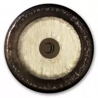 0223382224 PG82224 Planet Gong G