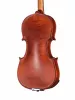Intermediate Gems 2 Birds Eye Скрипка 4/4, Gliga, I-V044-B