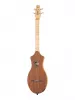 M4 Merlin Mahogany EQ Дульцимер со звукоснимателем, Seagull, 042517
