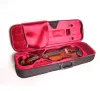 S-V044-Set Student Genial 1 Oil Скрипка 4/4 с чехлом, Gliga