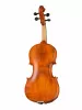 Professional Gama Unique Willow Скрипка 4/4, Gliga, PU-V044-GI