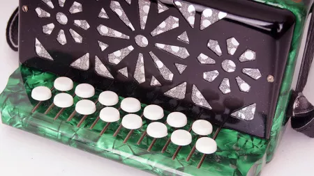 C40XL-C-GR Гармонь 