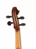 Master Gliga extra Walnut Скрипка 4/4, Gliga, M-V044-N