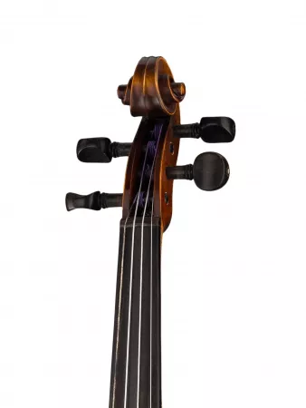 Скрипка концертная 4/4 Strunal, 332-4/4