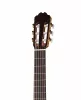 Cedar Fiesta Soloist Series Классическая гитара, дека кедр. Kremona, F65C
