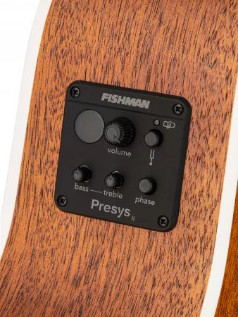 Acoustic Bass Series Электро-акустическая бас-гитара, Cort, AB590MF-OP
