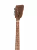 Balalaika Prima Master Балалайка прима, 3-струнная, палисандр, с чехлом, Doff, BPMR