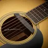 Rare Earth Mic Blend Гитарный магнитный звукосниматель со встроенным микрофоном, Fishman, PRO-REP-103