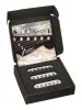 True Vintage Stratocaster Комплект магнитных звукоснимателей, белый, Bagdasar guitars, BGP401SW