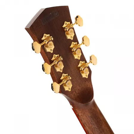 AT Gold Series Электро-акустическая гитара, с чехлом, Cort, Gold-A10-Cocobolo-WCASE-N