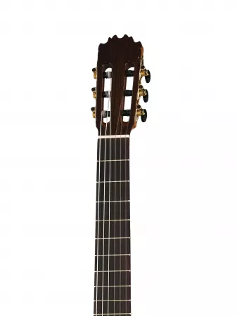 Классическая гитара, Martinez, MF-5