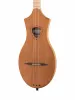 M4 Mahogany Дульцимер, Seagull, 039098