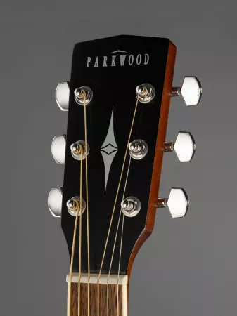 Акустическая гитара с чехлом, Parkwood, PF51-WBAG-OP