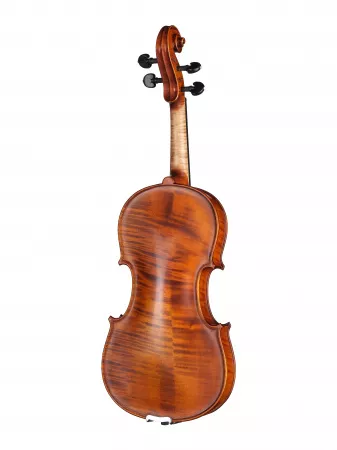 Professional Gama OPB Скрипка 4/4, Gliga, P-V044-O