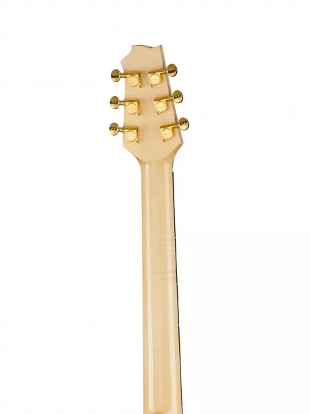 AJ-SM E9 Электро-акустическая гитара, с ремнем и чехлом, Alhambra, 1.122  рис.2 