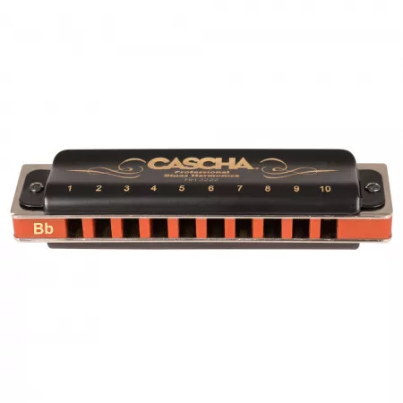Professional Blues Bb Губная гармошка, Cascha, HH-2222