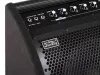 Монитор для электронной ударной установки, 50Вт, Soundking, DS50