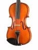 Professional Gama Unique Ash Скрипка 4/4, Gliga, PU-V044-OH