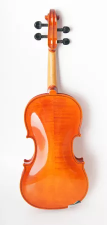 1750-4/4 Скрипка концертная 4/4 Strunal