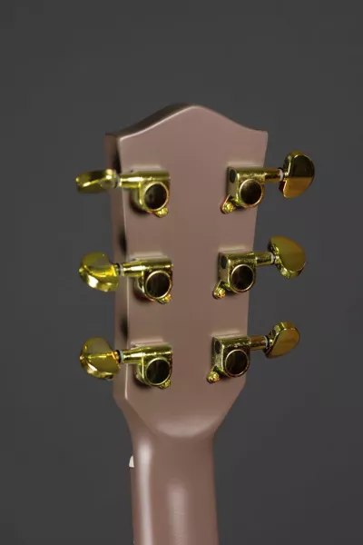 SG1 Сайлент-гитара, коричневая, MIG Guitars, SG1CH23  рис.2 