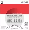 EJ17 PHOSPHOR BRONZE Струны для акустической гитары фосфорная бронза Medium 13-56 D`Addario