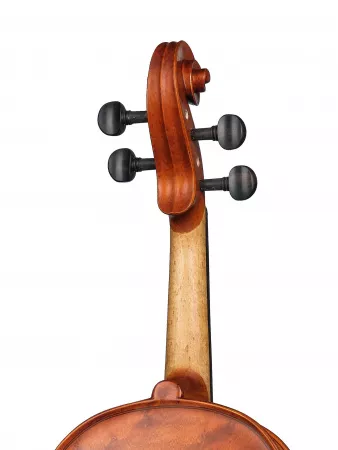 Workshop Gems 1 OPB Birds Eye Скрипка 4/4, Gliga, AW-V044-OB