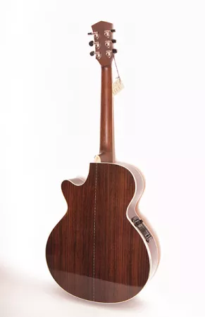 PW-570 Акустическая гитара, с чехлом, Parkwood