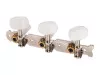 Колки для классической гитары, на планке, хром, Paxphil, JC-58-3+3-CR