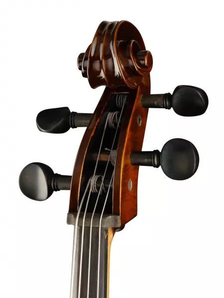 Виолончель полупрофессиональная, Strunal, 4/4we-4/4  рис.2 
