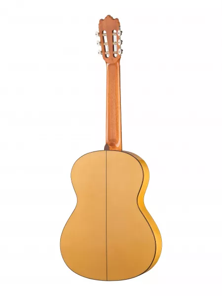 Flamenco Student 3F Классическая гитара, защитная накладка, Alhambra, 8.206  рис.2 