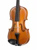 Beginer Genial 2 Nitro Скрипка 4/4 с чехлом, Gliga, B-V044-Set