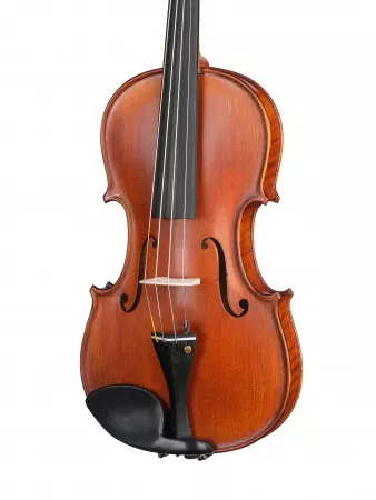 Professional Gama OPB Скрипка 4/4, Gliga, P-V044-O