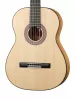 Flamenco Series Классическая гитара, Martinez, MFG-AS